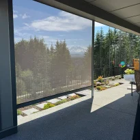 solar shades